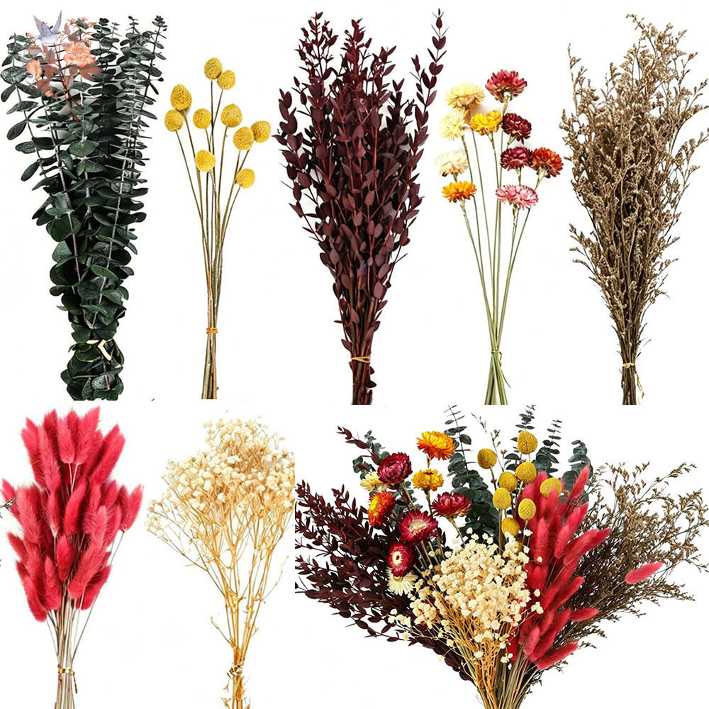 Dried Flowers Bulk Set 7 Kinds - The Florist Supply review and price