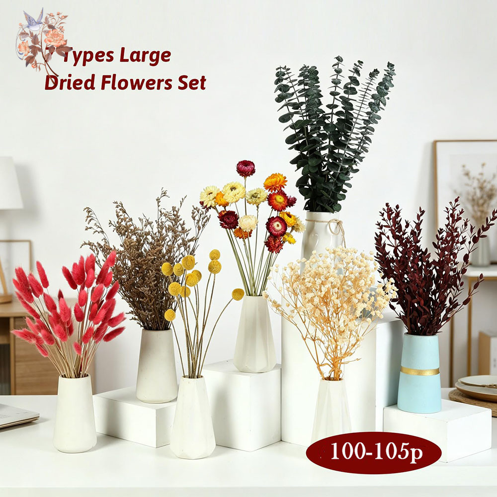 Dried Flowers Bulk Set 7 Kinds - The Florist Supply review and price
