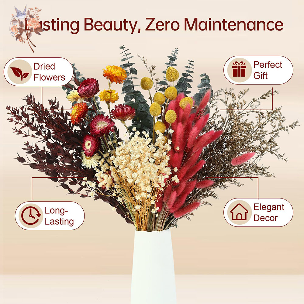 Dried Flowers Bulk Set 7 Kinds - The Florist Supply review and price