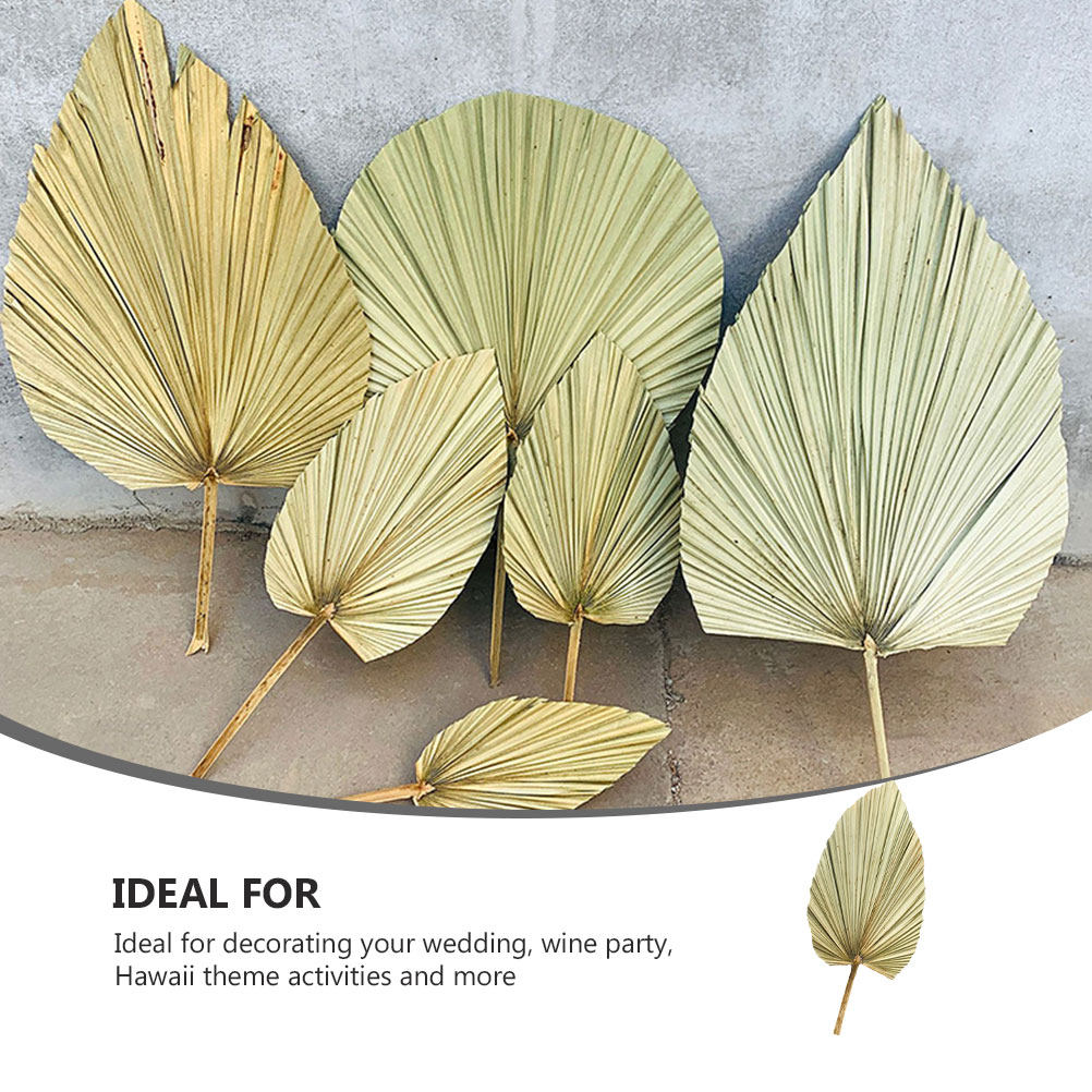 1Pcs Vivid Palm Leaf Decor Nat - Palm Leaf Dried review and price