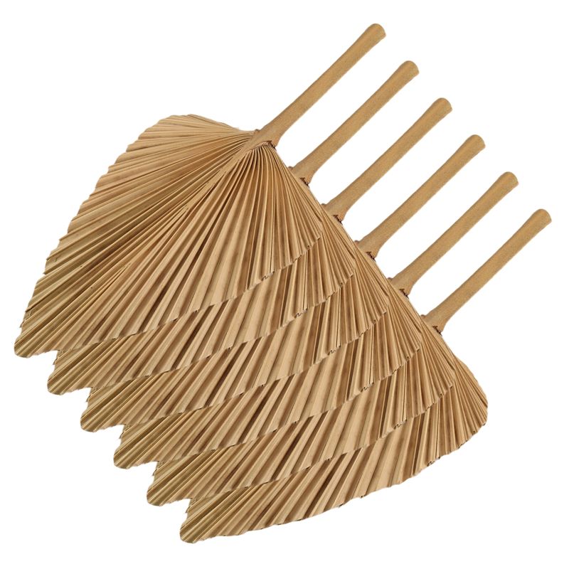 AT84-6PCS Dried Palm Leaves Na - Palm Leaf Dried review and price