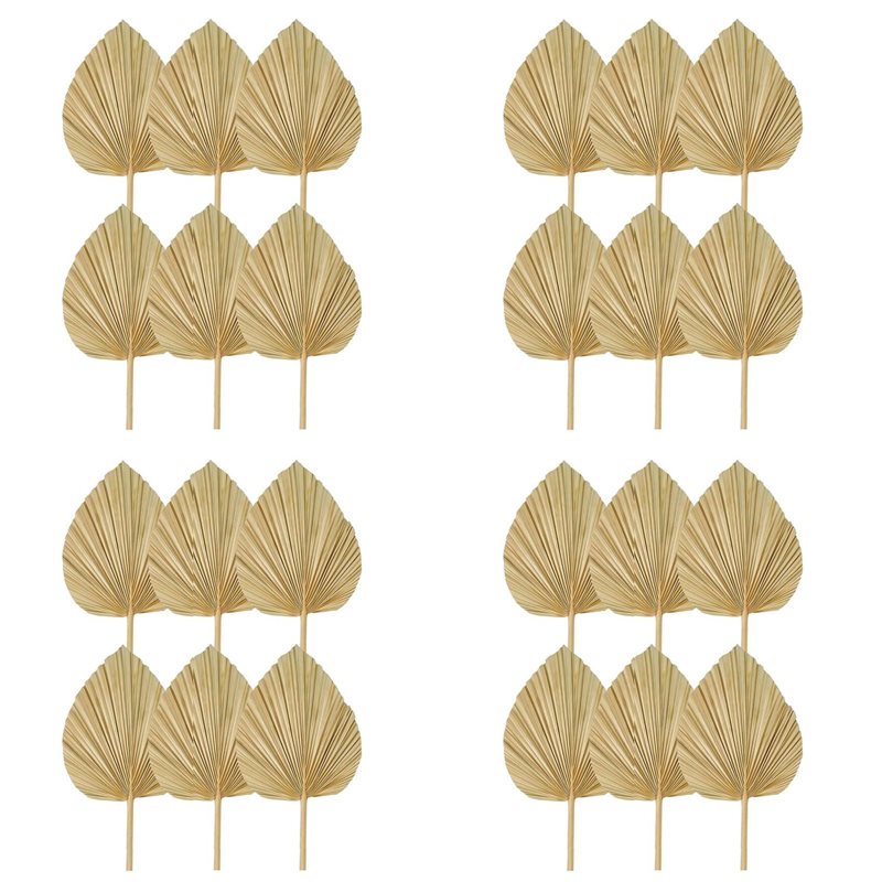 【CHRISTMAS 】24PCS Dried Palm L - Palm Leaf Dried review and price