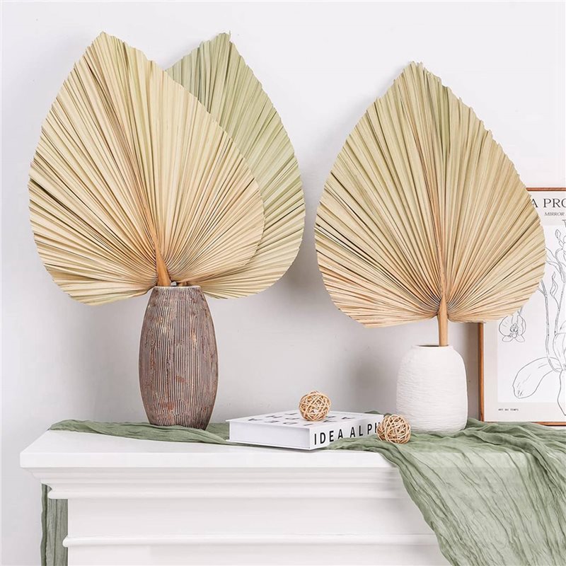【CHRISTMAS 】24PCS Dried Palm L - Palm Leaf Dried review and price