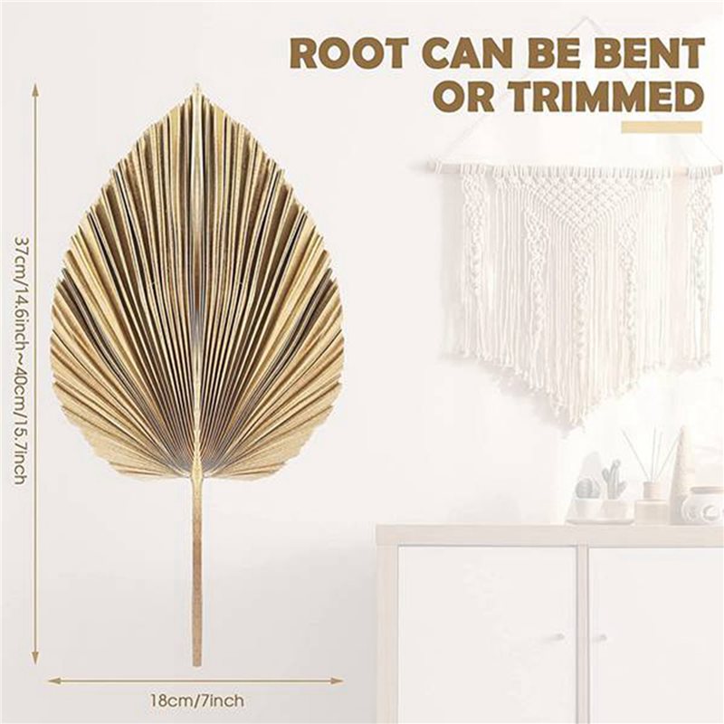 【CHRISTMAS 】24PCS Dried Palm L - Palm Leaf Dried review and price