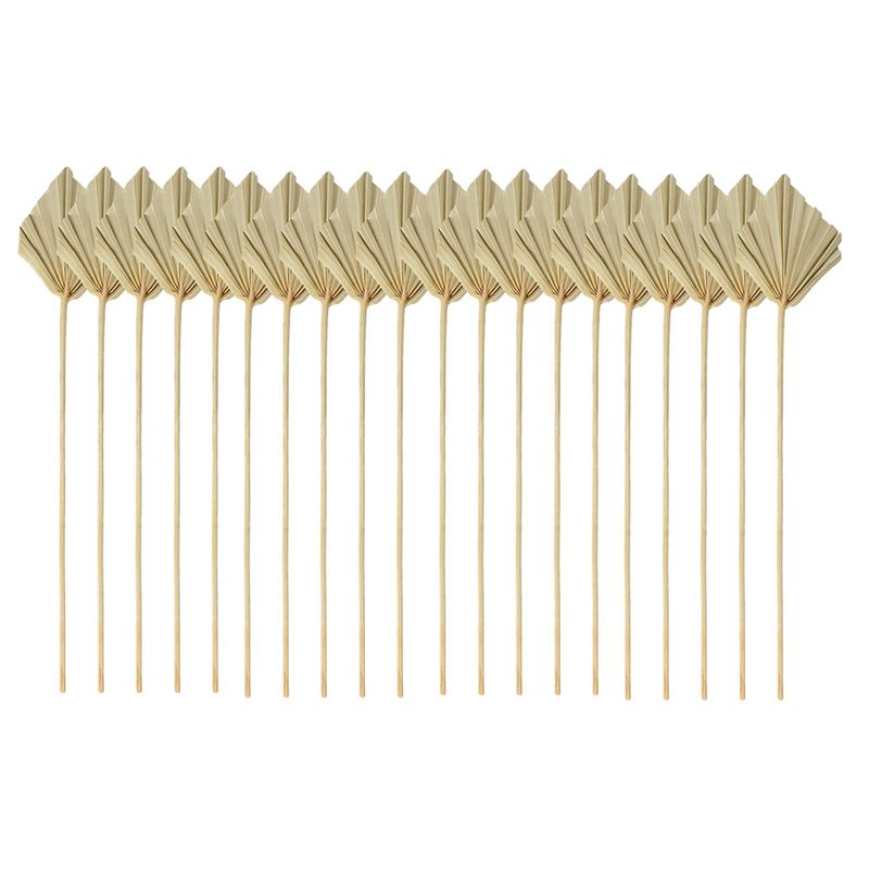 ABYN-Boho Dried Palm Spears Sm - Palm Leaf Dried review and price