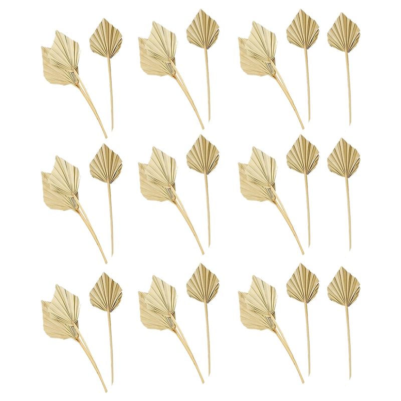 AS60-30 Pcs Boho Dried Palm Sp - Palm Leaf Dried review and price