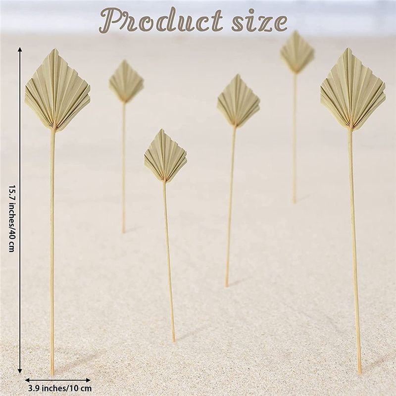 A36T-30 Pcs Boho Dried Palm Sp - Palm Leaf Dried review and price