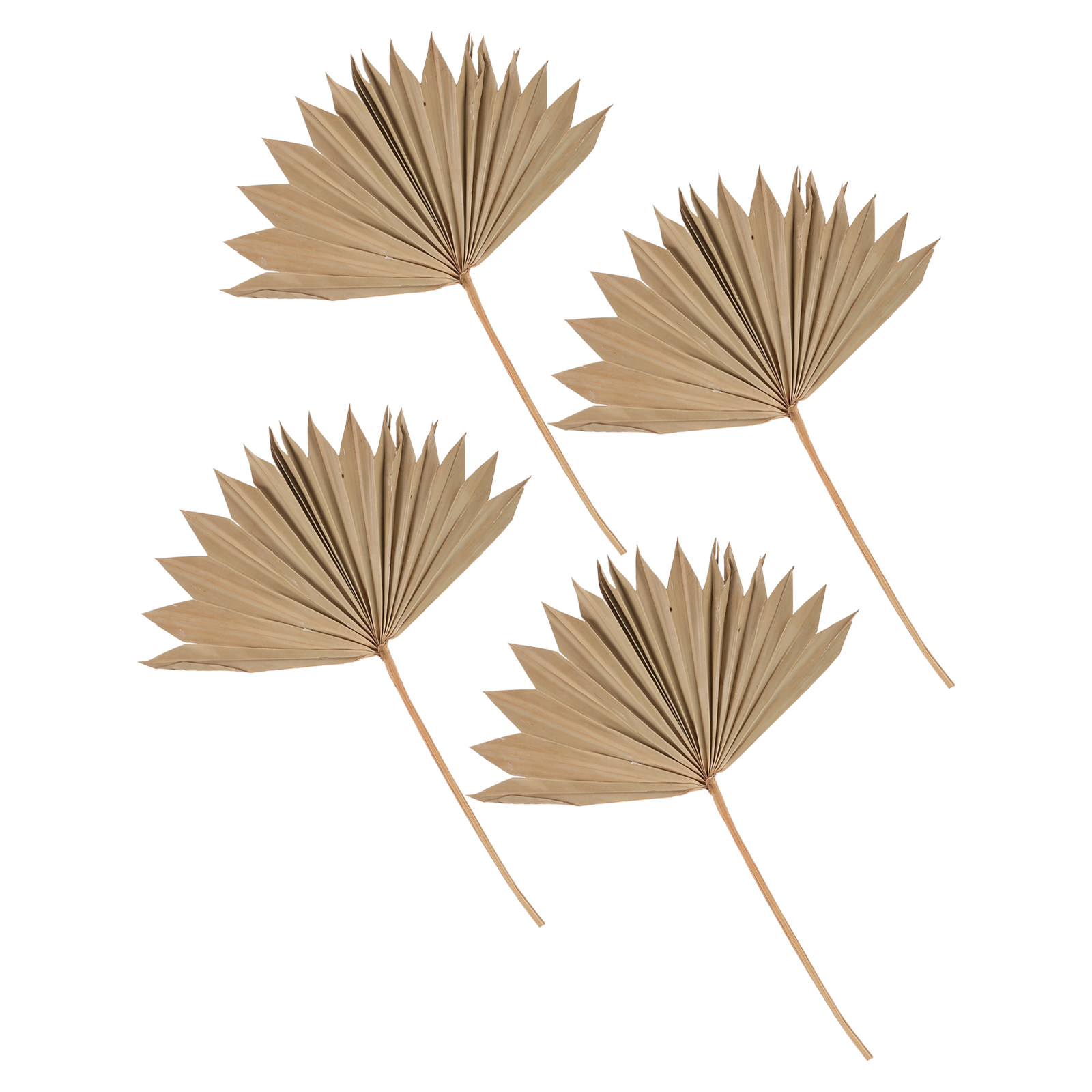 4Pcs Dried Palm Leaf Decor Nat - Palm Leaf Dried review and price